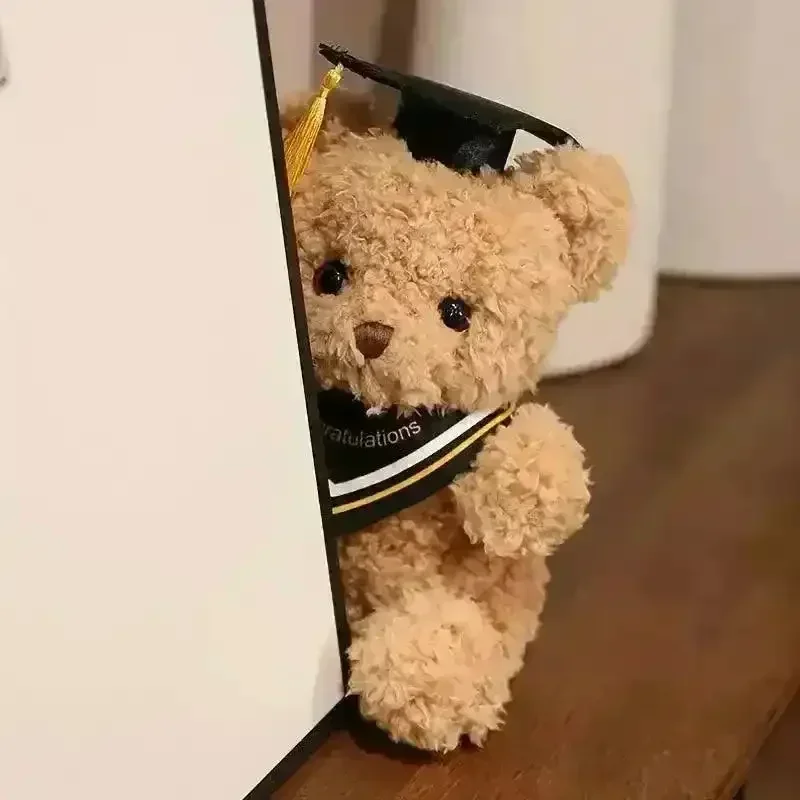 Adorable Graduation Teddy Bear (23 cm) - Image 3