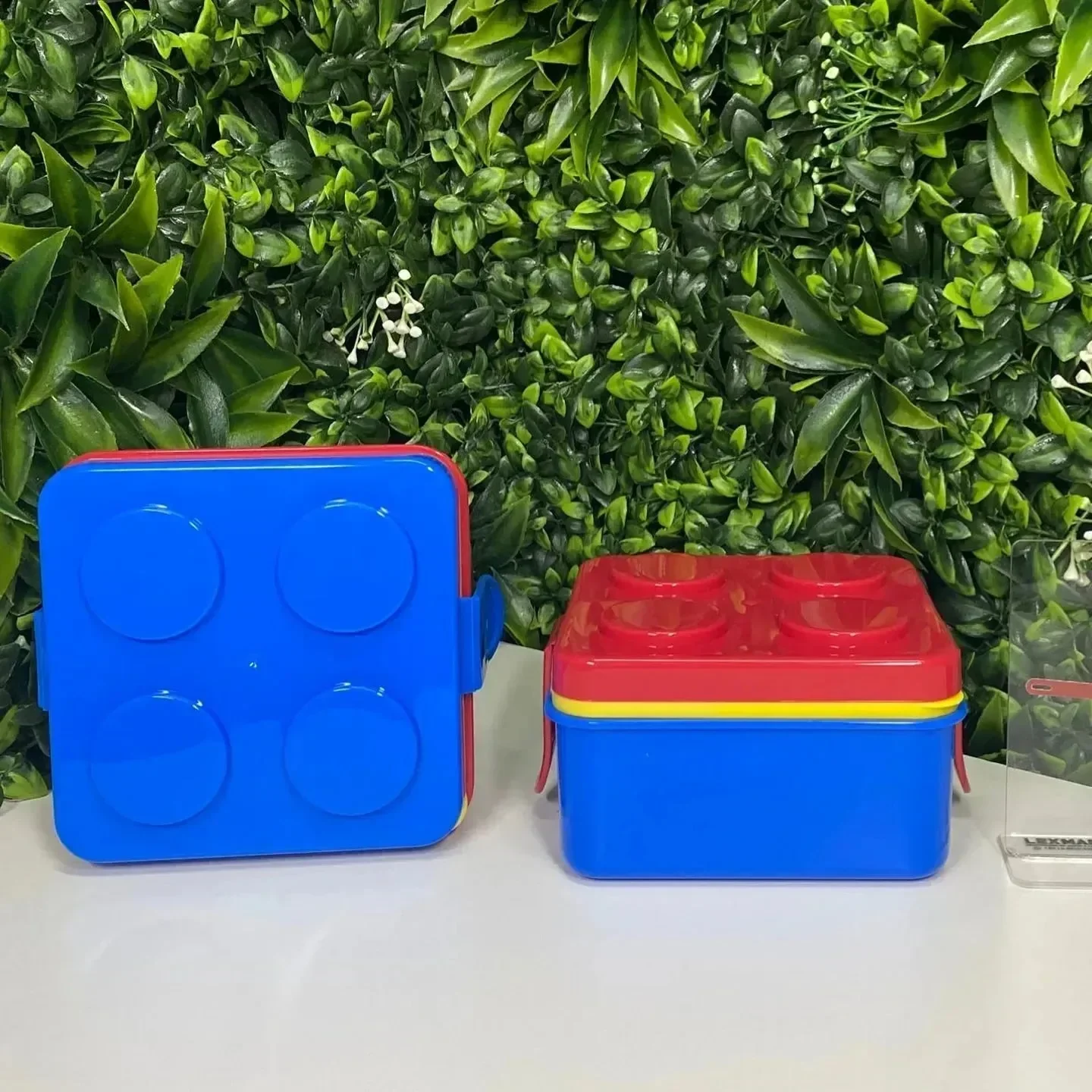 Block Party Double-Layer Bento Box (1500 ml) - Image 5