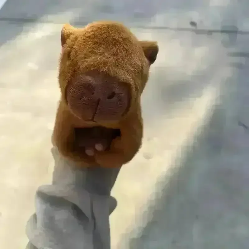 Capybara Giant Plush Bracelet - Image 6