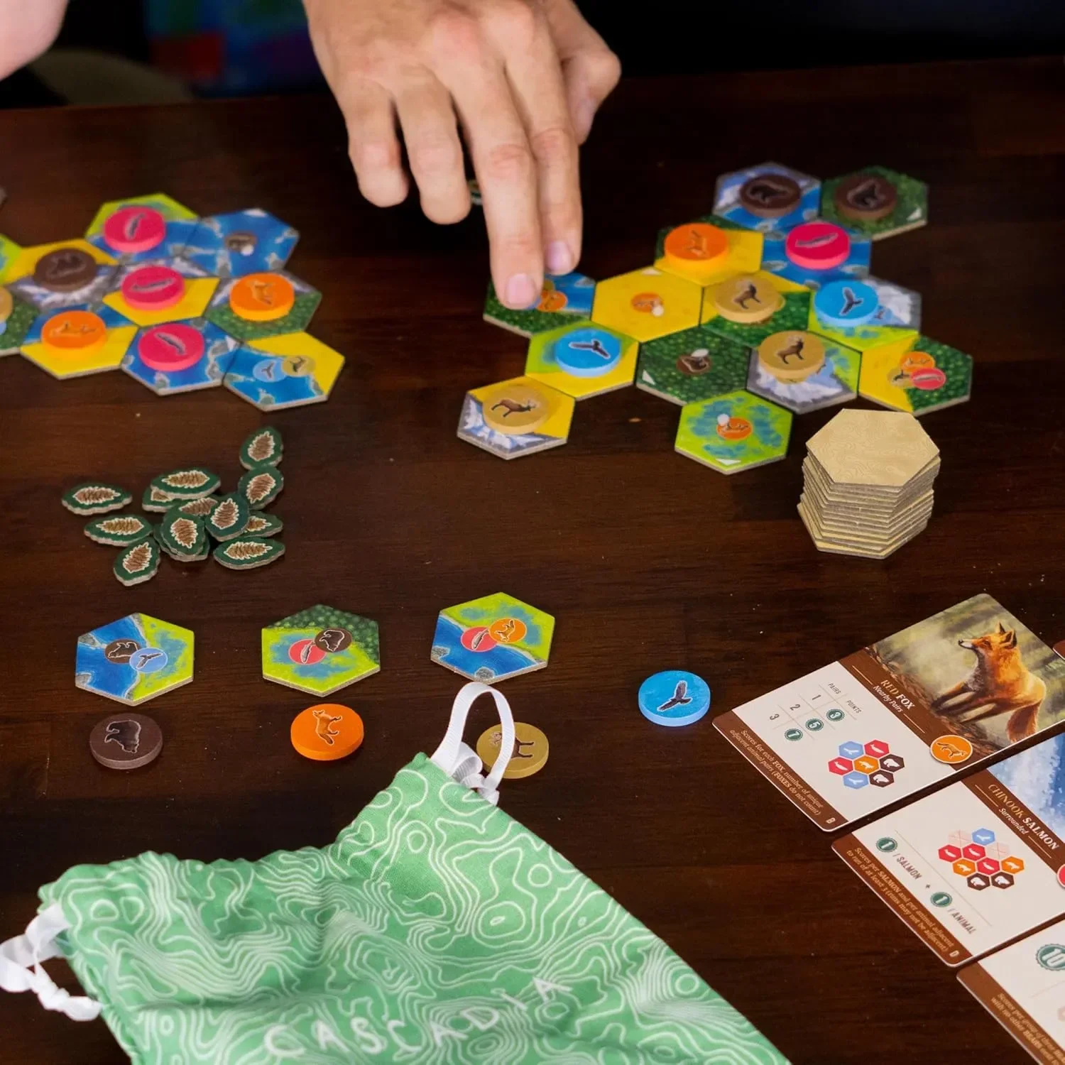 Cascadia Board Game - Image 3