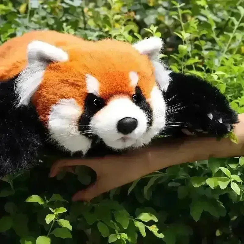 Chongker Realistic Red Panda Plush