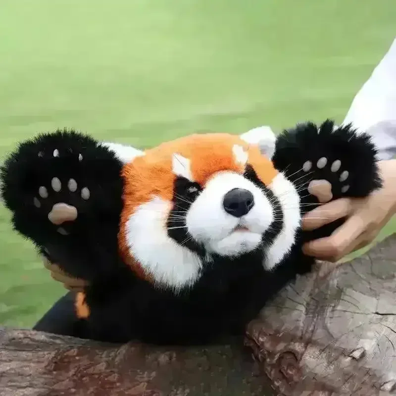 Chongker Realistic Red Panda Plush - Image 3