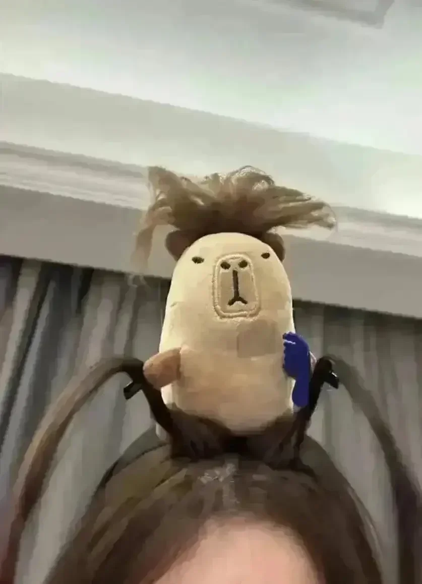 Cute Capybara Hairband - Image 5