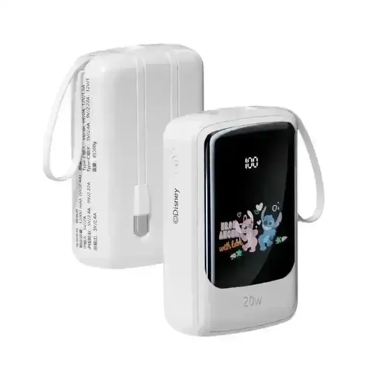 DSNY Fast-Charging Power Bank With Dual Cables - Image 8