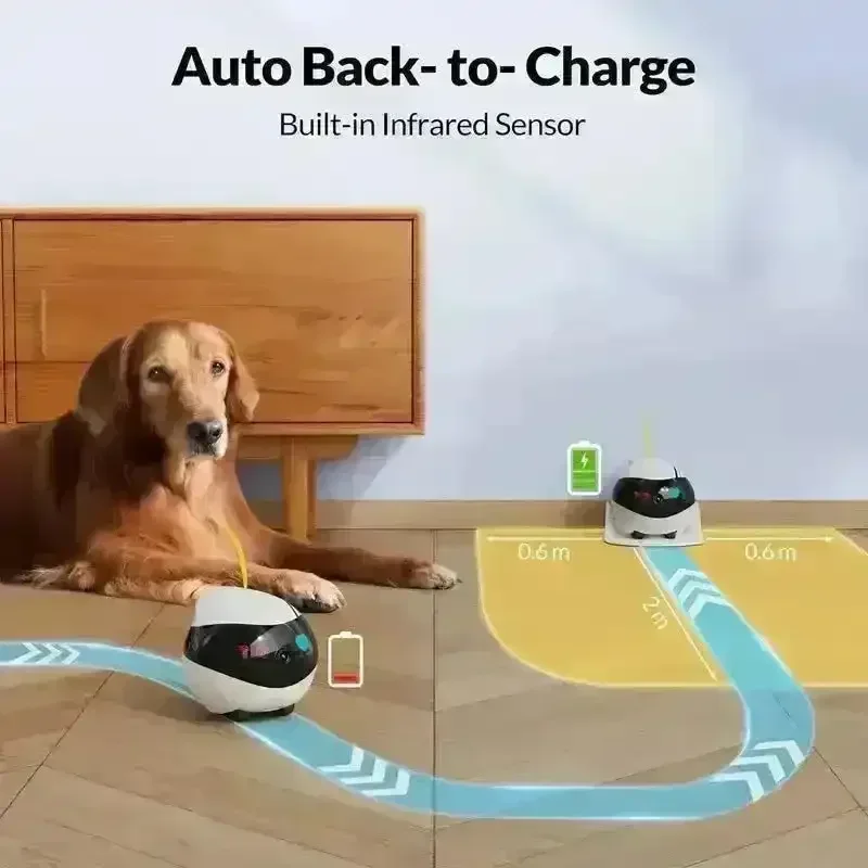 Enabot EBO Air Smart Home Companion - Image 7