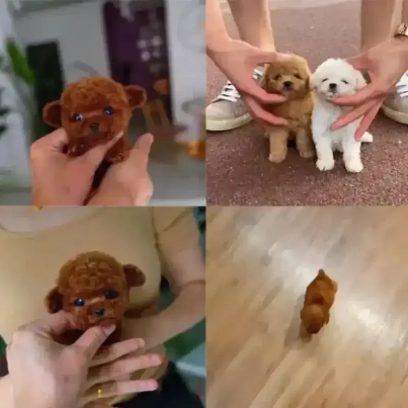 Fuzzy Interactive Robot Puppy Doll - Image 2