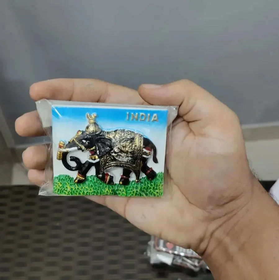 Incredible India Souvenir Fridge Magnets - Image 24