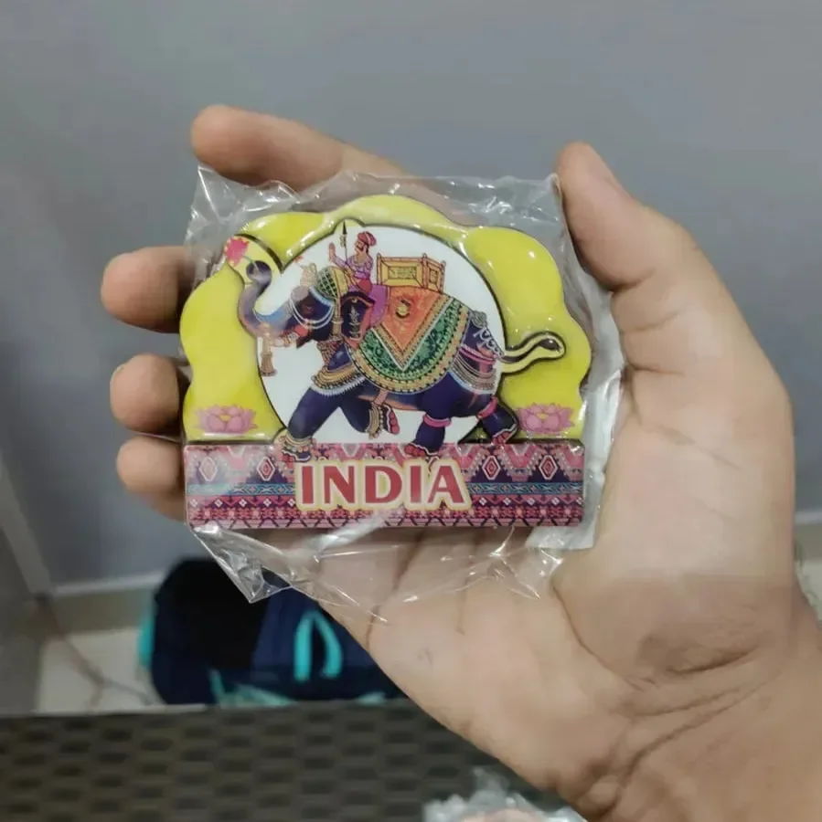 Incredible India Souvenir Fridge Magnets - Image 25