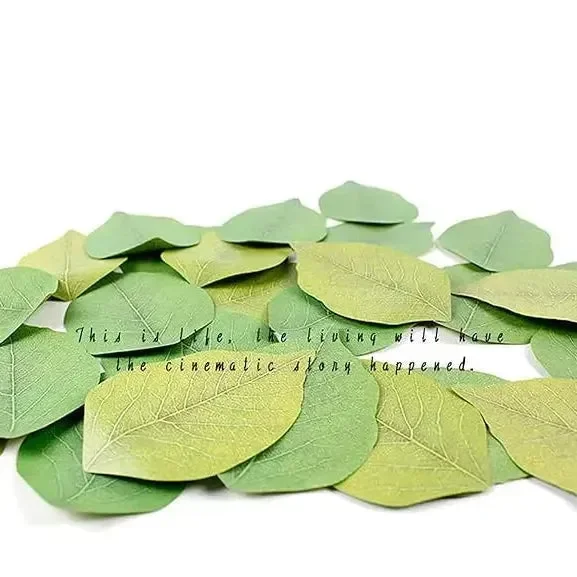 Leaf Creative Sticky Notes - Image 4