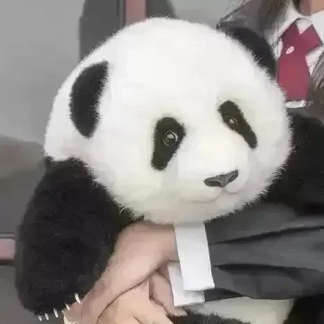 Life-like Giant Panda Plushie - Image 4