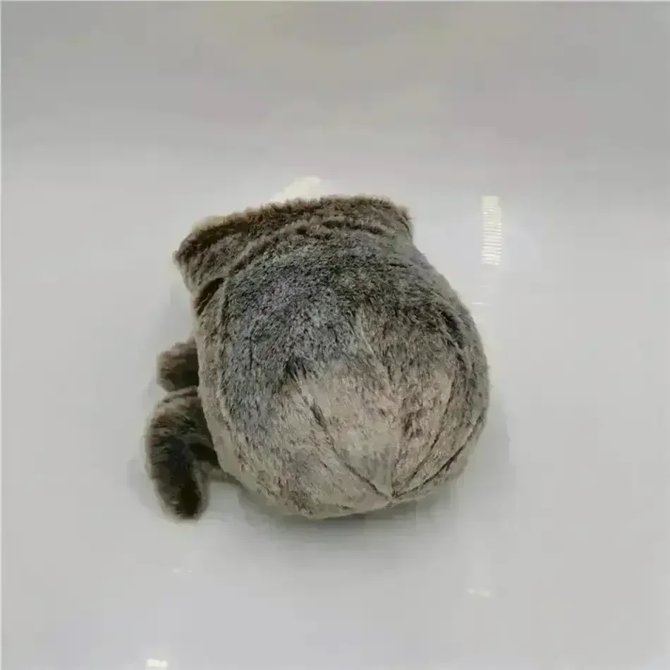 Lucas the Spider Plush Toy (20 cm) - Image 4