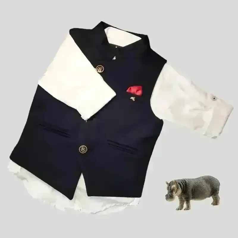 Nehru Jacket Party Wear Set - Image 2