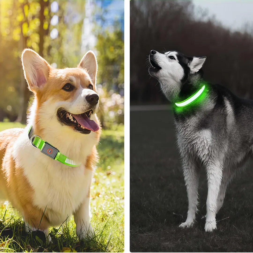 Neon Guardian Luminous Pet Collar - Image 2