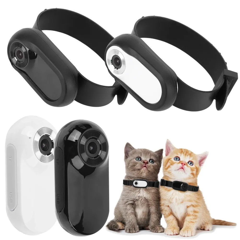 Pet Perspective 360 Pet Collar Camera - Image 2