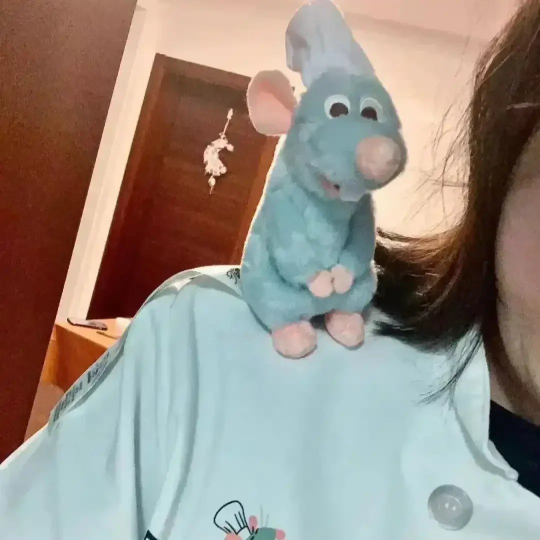 Ratatouille Chef Magnetic Plush (18 cm) - Image 4