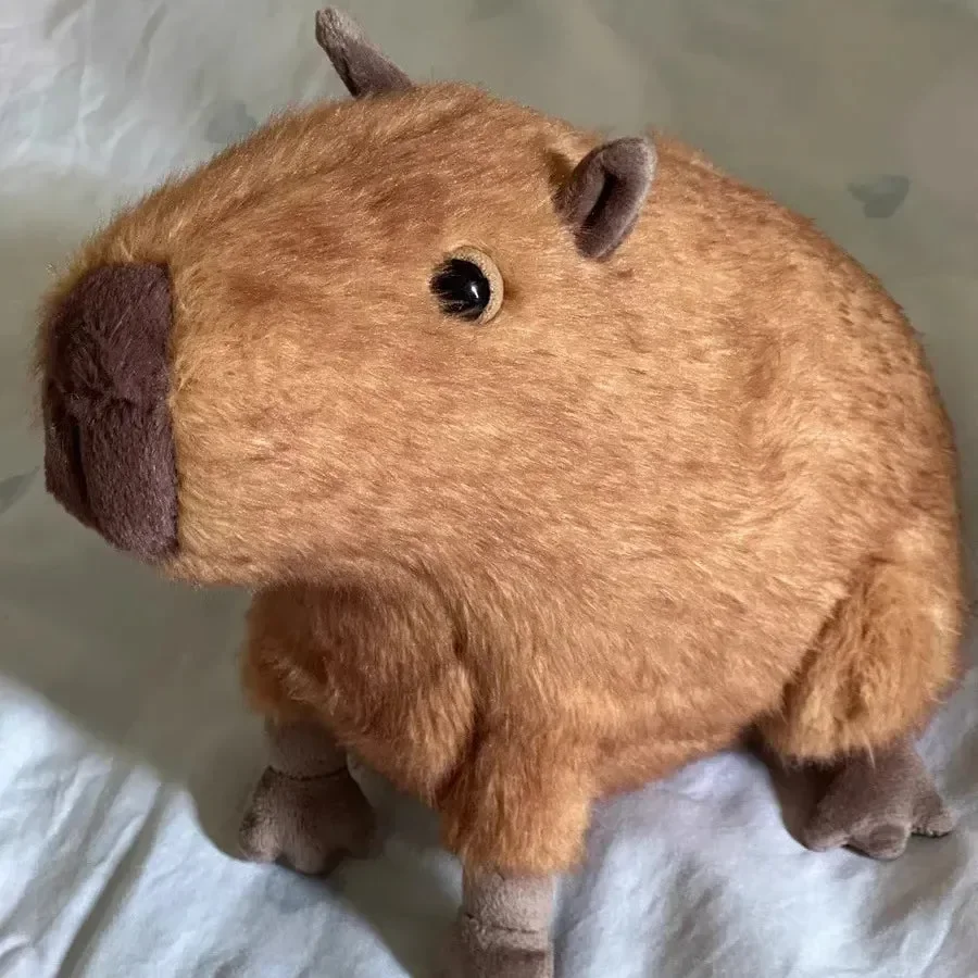 Realistic Capybara Plush Pal (30 cm) - Image 3