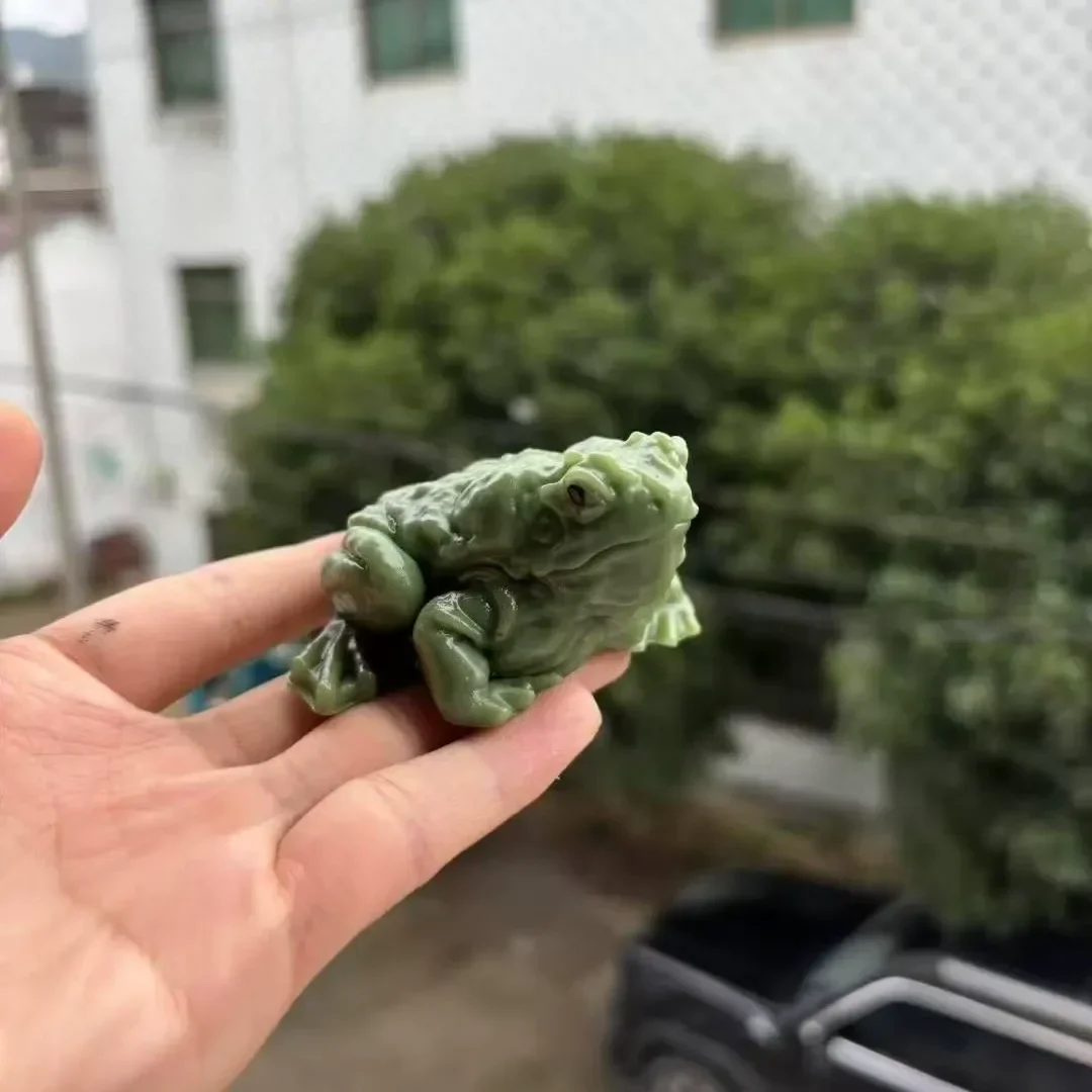 Realistic Frog Squishy Toy - Image 2
