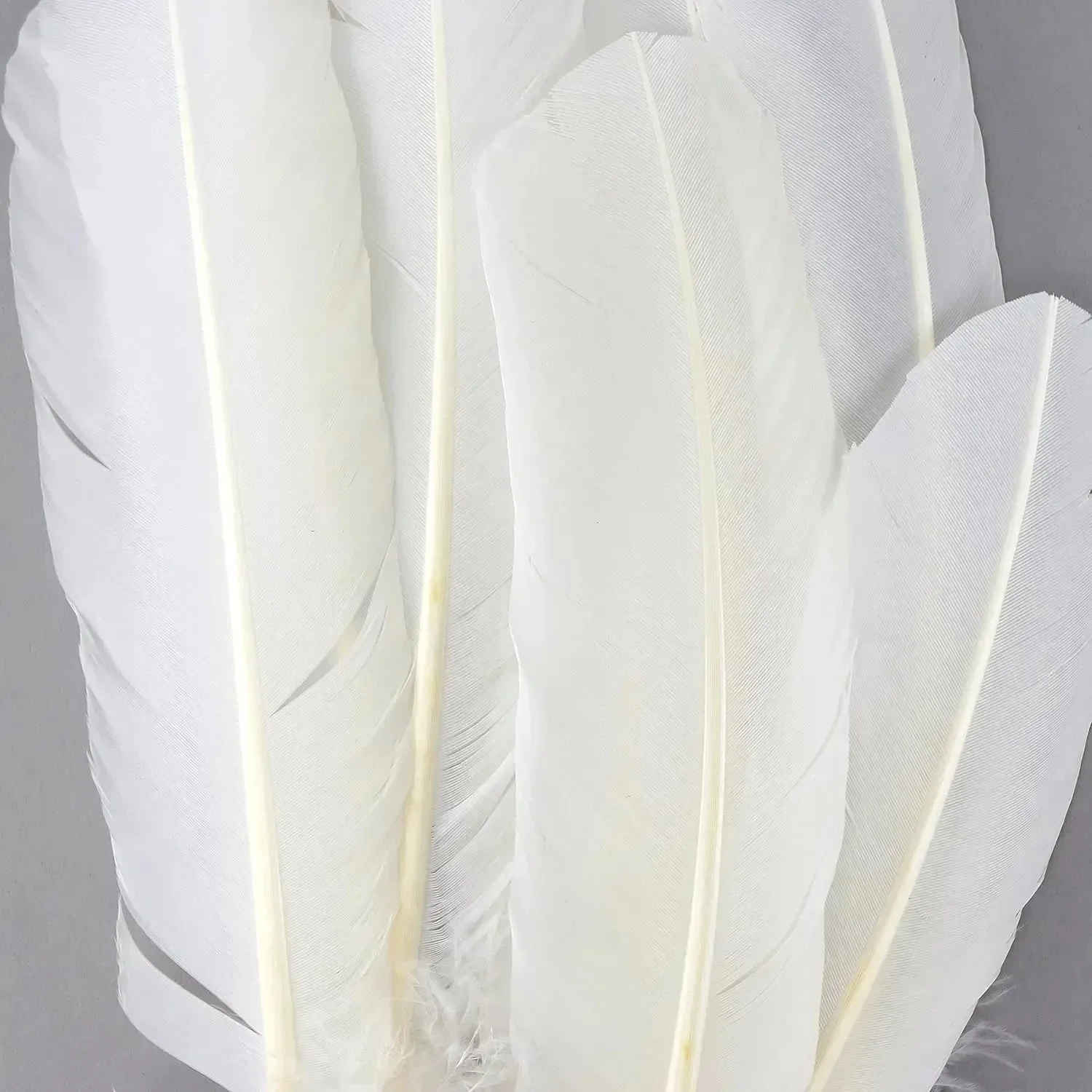 Realistic Goose Feather Pen - Image 2