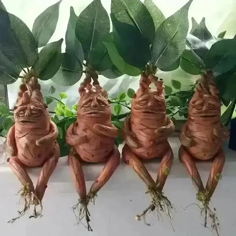 Realistic Mandrake Pullout Plant