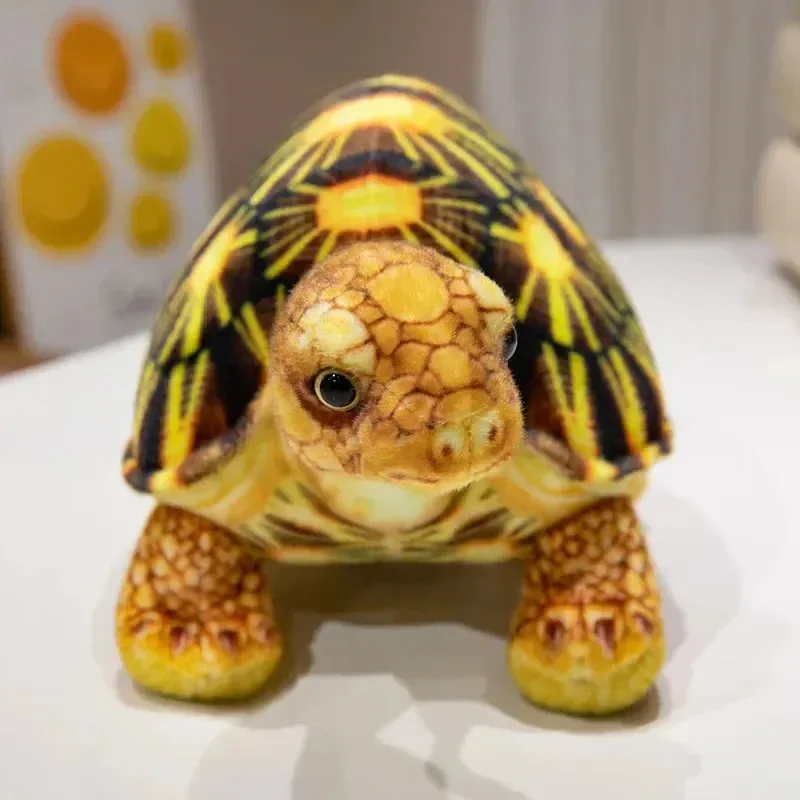Realistic Tortoise Snuggle Plushie - Image 8